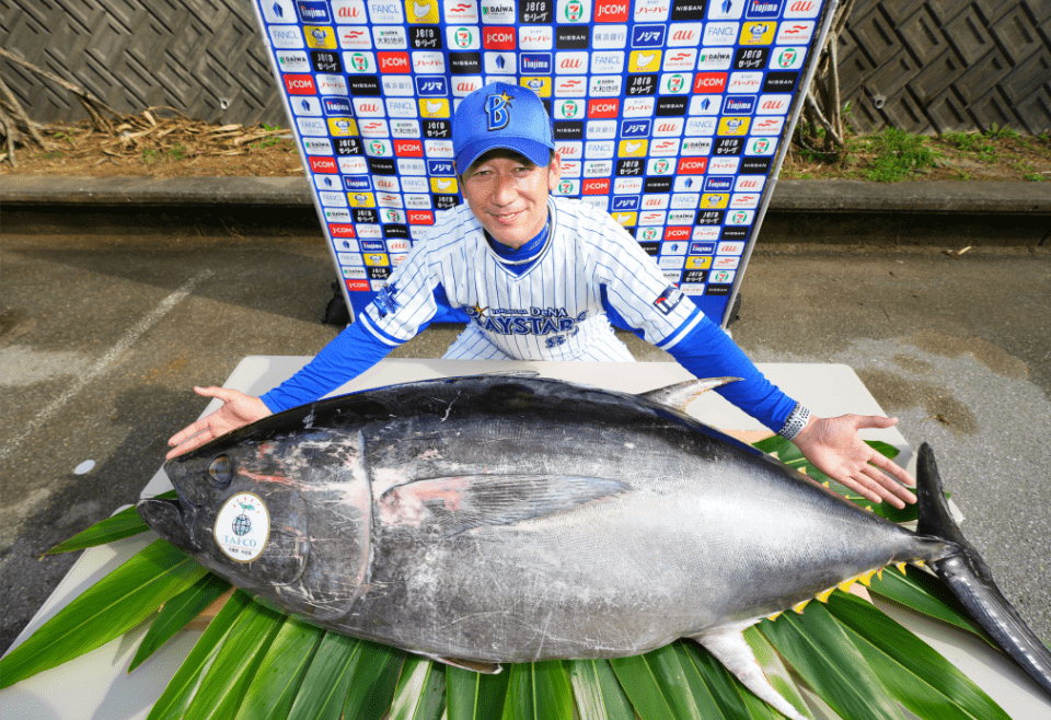 春季キャンプにUmiosから約70㎏の養殖クロマグロを進呈！